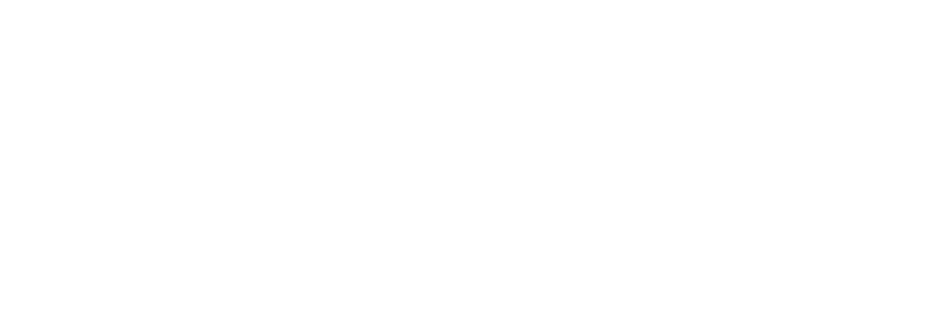 Logo Branca da Evolve Capital